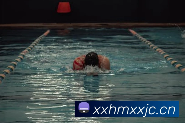 开云app官方版入口appAPP 封面图